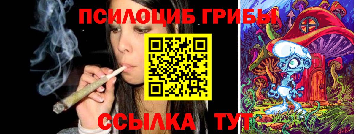 Галлюциногенные грибы Magic Shrooms Сосновоборск