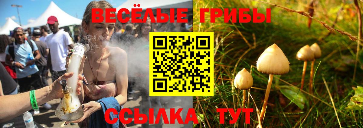 Галлюциногенные грибы Psilocybine cubensis  купить наркотик  Псилоцибиновые грибы GOLDEN TEACHER  Сосновоборск  Вход с VPN 